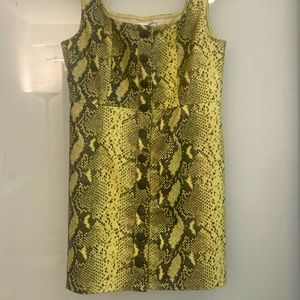 Wild Honey Womens Snake Print Leather Mini Dress Size Small Yellow Black